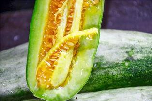 被吃瓜的网红,揭秘背后真相与争议 第3张 被吃瓜的网红,揭秘背后真相与争议 第3张