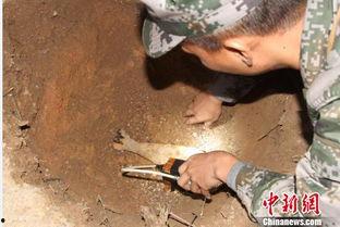 海南工地爆料事件视频播放,视频揭露惊人真相 第1张 海南工地爆料事件视频播放,视频揭露惊人真相 第1张